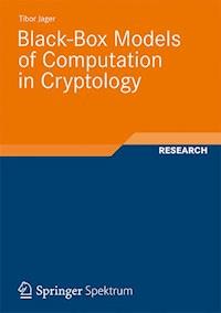 Black-Box Models of Computation in Cryptology - Tibor Jager - E-Book