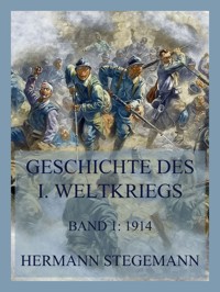 Geschichte des I. Weltkrieges, Band 1 - Hermann Stegemann - E-Book