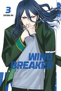 Wind Breaker, Band 03 - Satoru Nii - E-Book