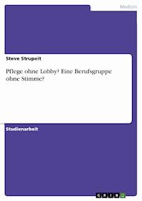 Pflege ohne Lobby? Eine Berufsgruppe ohne Stimme? - Steve Strupeit - E-Book
