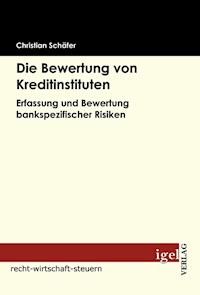 Die Bewertung von Kreditinstituten - Christian Schäfer - E-Book