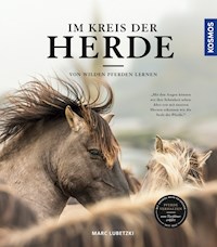 Im Kreis der Herde - Marc Lubetzki - E-Book