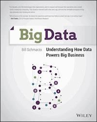 Big Data - Bill Schmarzo - E-Book