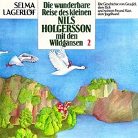 Nils Holgersson, Folge 2: Die wunderbare Reise des kleinen Nils Holgersson mit den Wildgänsen - Selma  Lagerlöf - Hörbuch