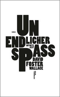 Unendlicher Spaß - David Foster Wallace - E-Book