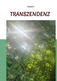 Transzendenz - Hellstern Hofnarr des Lichts - E-Book