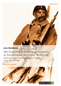 Die französischen Kriegsgefangenen in Deutschland im Ersten Weltkrieg - Loïc Delafaite - E-Book