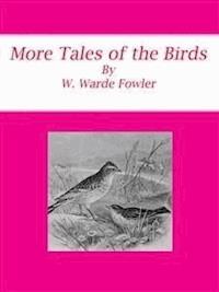 More Tales of the Birds - W. Warde Fowler - E-Book