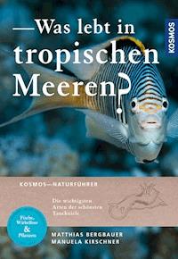 Was lebt in tropischen Meeren? - Matthias Bergbauer - E-Book