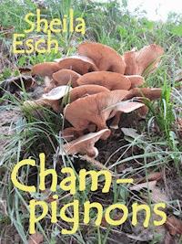 Champignons - Sheila Esch - E-Book