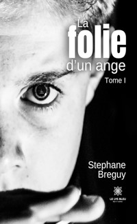 La folie d’un ange - Tome 1 - Stéphane Breguy - E-Book