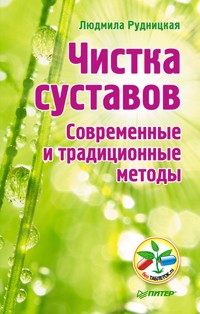 Чистка суставов. Современные и традиционные методы - Людмила Рудницкая - E-Book