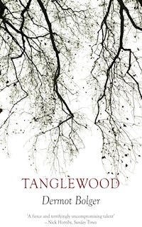 Tanglewood - Dermot Bolger - E-Book