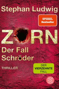 Zorn – Der Fall Schröder - Stephan Ludwig - E-Book