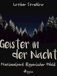 Geister in der Nacht. Nationalpark Bayerischer Wald - Lothar Streblow - E-Book
