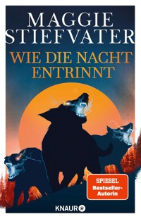 Wie die Nacht entrinnt - Maggie Stiefvater - E-Book