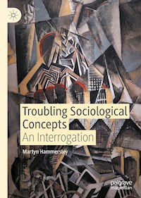 Troubling Sociological Concepts - Martyn Hammersley - E-Book