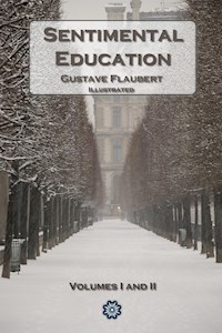 Sentimental Education - Gustave Flaubert - E-Book