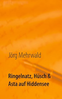 Ringelnatz, Hüsch und Asta auf Hiddensee - Jörg Mehrwald - E-Book