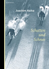Schatten und Schnee - Joachim Kalka - E-Book