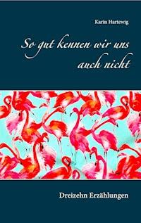 So gut kennen wir uns auch nicht - Karin Hartewig - E-Book