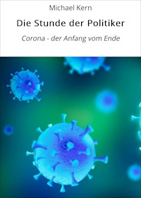 Die Stunde der Politiker - Michael Kern - E-Book