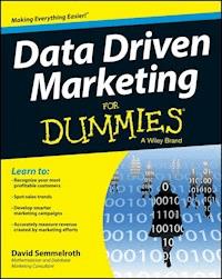 Data Driven Marketing For Dummies - David Semmelroth - E-Book