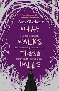 What Walks These Halls - Amy Clarkin - E-Book
