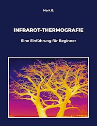 Infrarot-Thermografie - Mark B. - E-Book