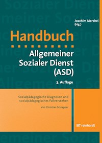 Sozialpädagogische Diagnosen und sozialpädagogisches Fallverstehen - Christian Schrapper - E-Book