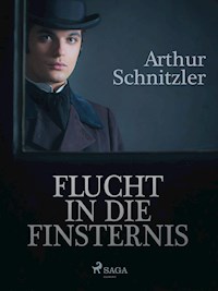 Flucht in die Finsternis - Arthur Schnitzler - E-Book