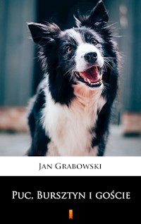 Puc, Bursztyn i goście - Jan Grabowski - E-Book