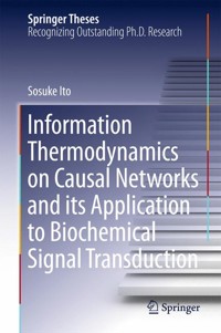 Information Thermodynamics on Causal Networks and its Application to Biochemical Signal Transduction - Sosuke Ito - E-Book