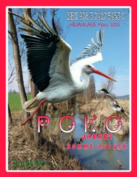 POKO - RAYMONDi - E-Book