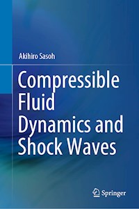 Compressible Fluid Dynamics and Shock Waves - Akihiro Sasoh - E-Book