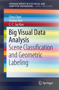 Big Visual Data Analysis - Chen Chen - E-Book