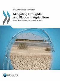 Mitigating Droughts and Floods in Agriculture -  - E-Book