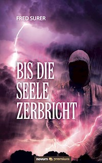 Bis die Seele zerbricht - Fred Surer - E-Book