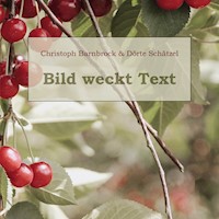 Bild weckt Text - Christoph Barnbrock - E-Book