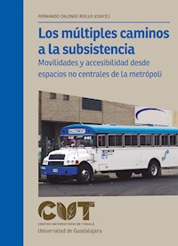 Los múltiples caminos a la subsistencia - Fernando Calonge Reillo - E-Book