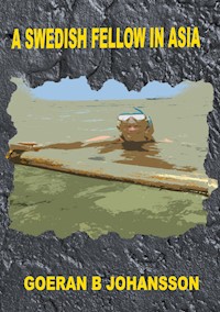 A Swedish Fellow in Asia - Goeran B Johansson - E-Book