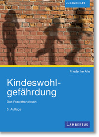 Kindeswohlgefährdung - Friederike Alle - E-Book