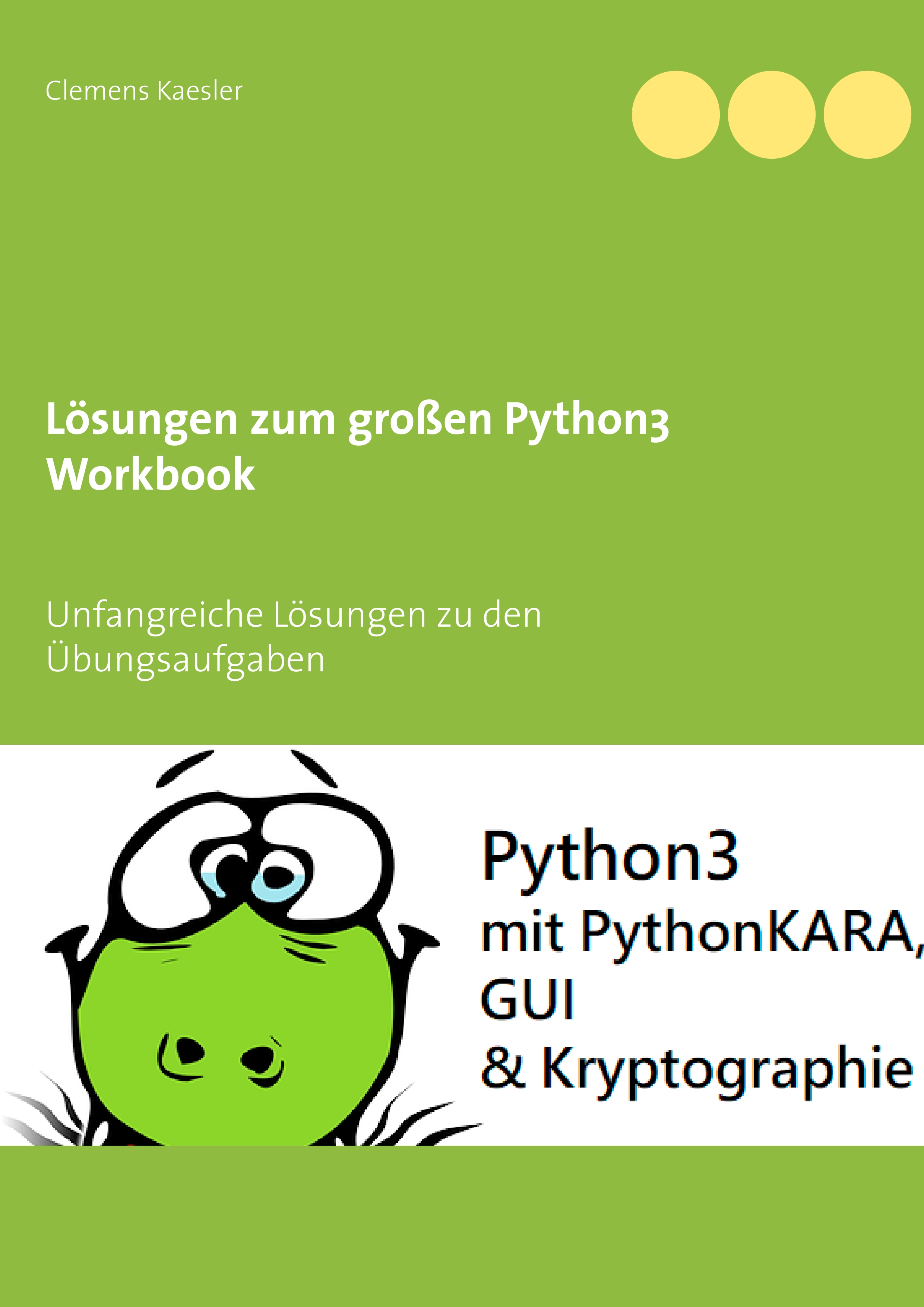 Lösungen zum großen Python3 Workbook - Clemens Kaesler - E-Book