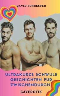 Ultrakurze schwule Geschichten für Zwischendurch - David Forrester - E-Book