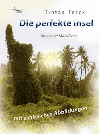Die perfekte Insel - Thomas Frick - E-Book