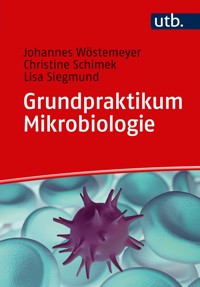 Grundpraktikum Mikrobiologie - Johannes Wöstemeyer - E-Book