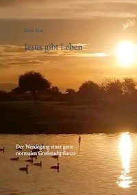 Jesus gibt Leben - Gitta Tost - E-Book