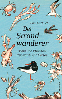 Der Strandwanderer. Tiere und Pflanzen der Nord- und Ostsee - Paul Kuckuck - E-Book