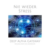 Nie wieder Stress - Lennart Bloom-Grosse - Hörbuch
