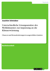 Unterschiedliche Lösungsansätze des Weltklimarates zur Anpassung an die Klimaerwärmung - Joachim Schnieber - E-Book